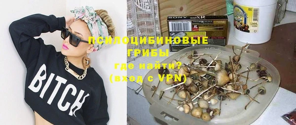 сатива Снежинск