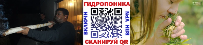 Купить закладки  Адыгейск  Бошки Шишки OG Kush 